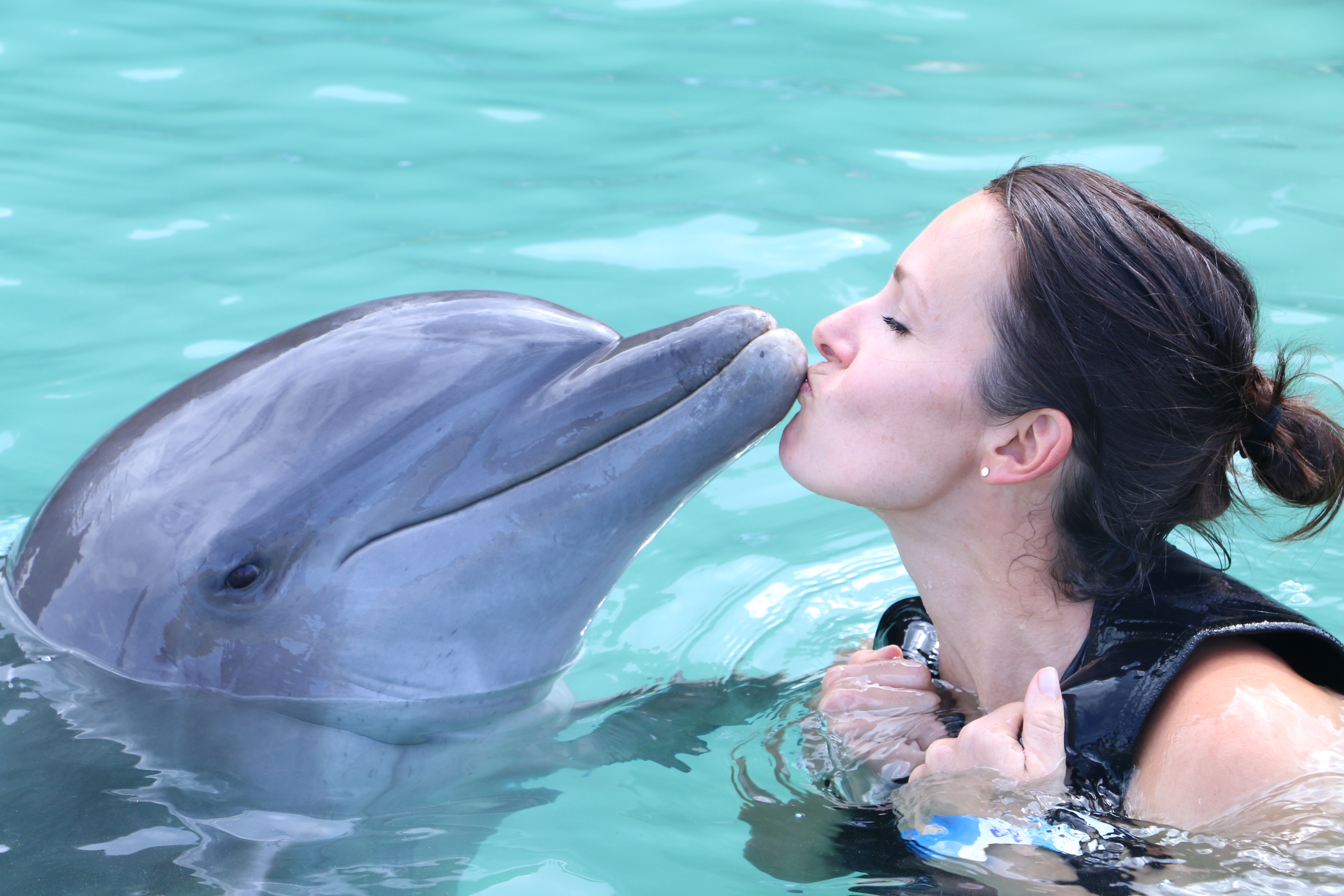 Jahresrückblick: Mädchen küsst Delphin