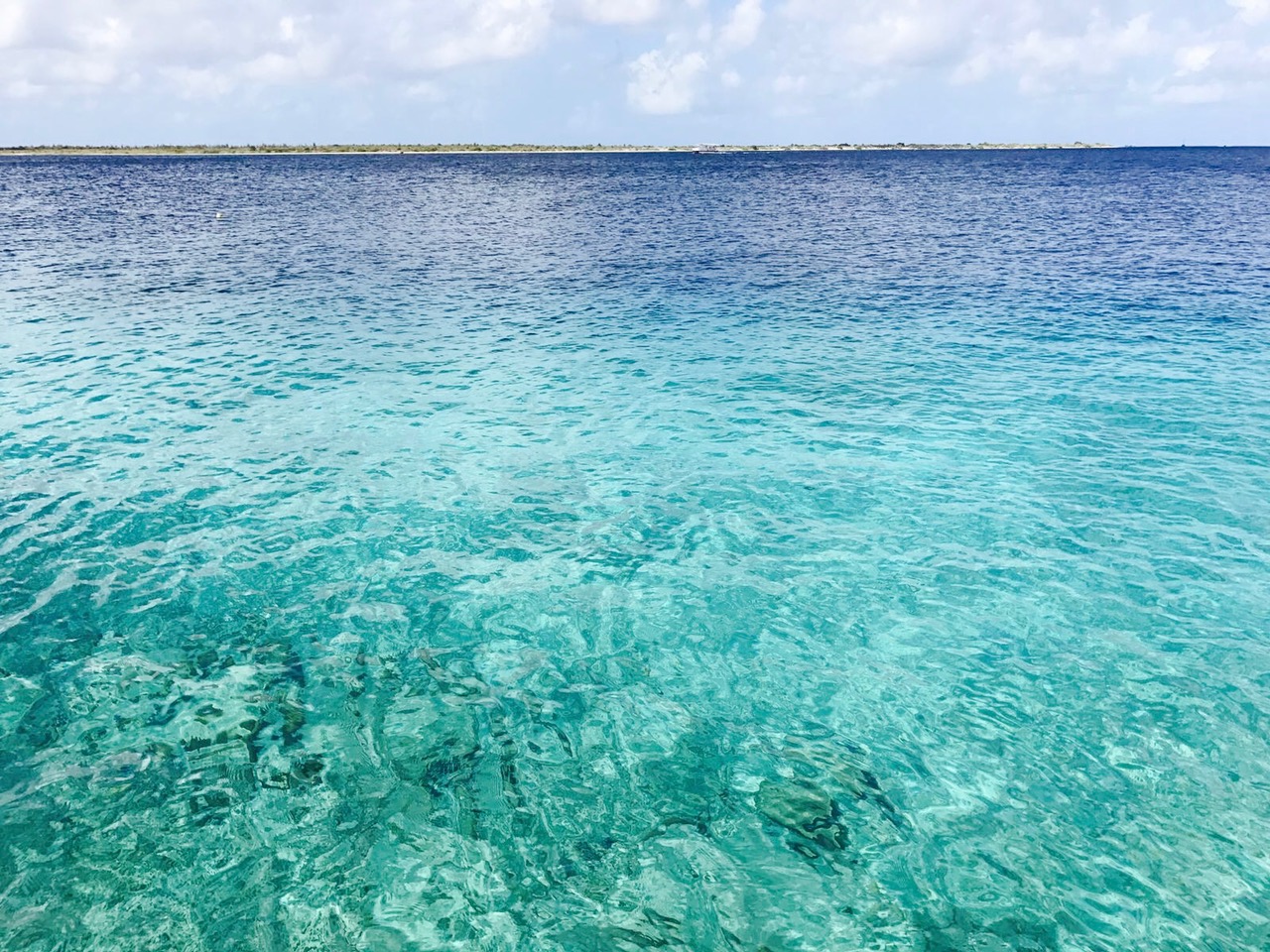 Das Wasser am Eden Beach, Bonaire