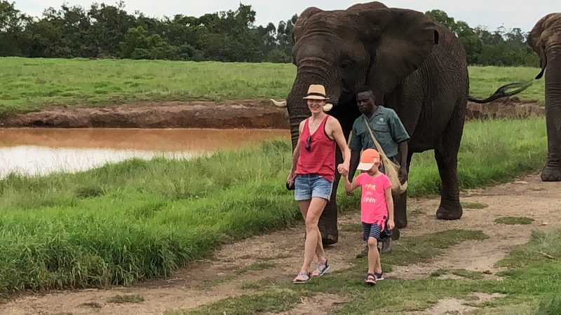 Spaziergang mit Elefanten im Elephant Sanctuary, Plettenberg, Südafrika