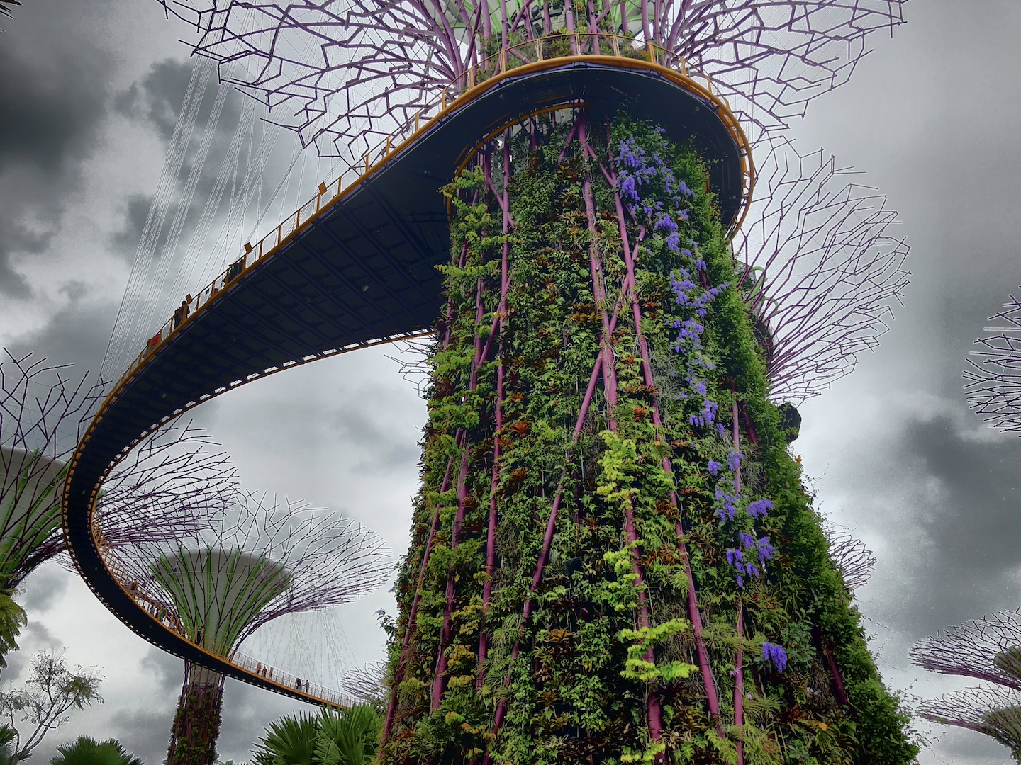 Blick auf die Super Trees, Gardens by the Bay, Singapur