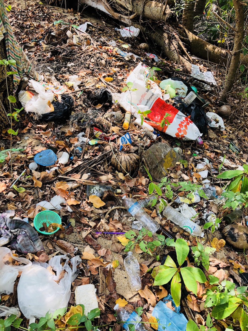 Müllstrand in Thailand, Kho Phangan