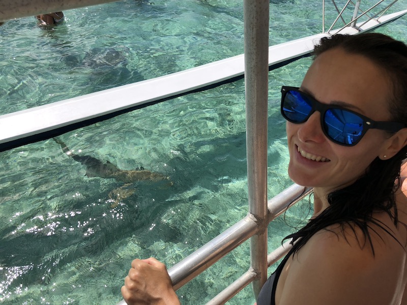 Haie im Wasser auf Bora Bora
